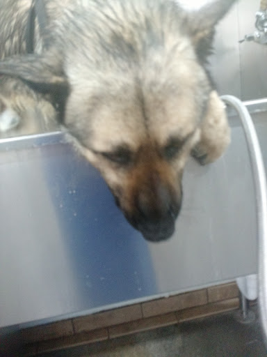 Pet Supply Store «Pet Food Center», reviews and photos, 2243 Lowes Dr E, Clarksville, TN 37043, USA