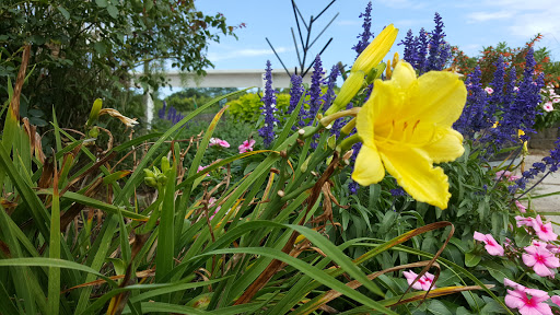 Winery «Summerset Winery», reviews and photos, 15101 Fairfax St, Indianola, IA 50125, USA