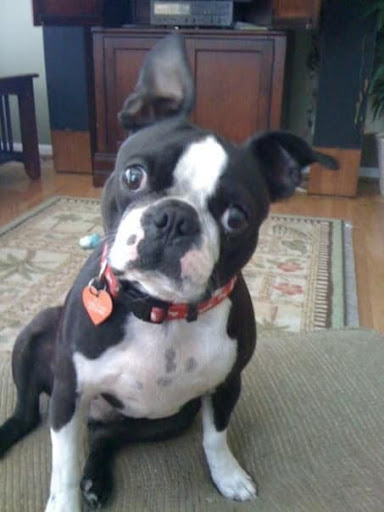 Explore yhwh tattoo ideas, creative tattoo ideas in Charleston, available at Holy City Tattooing Collective