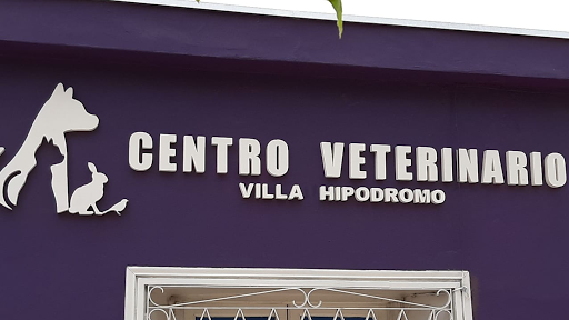 Veterinaria VILLA HIPÓDROMO Clínica y cirugía en animales exóticos / no tradicionales