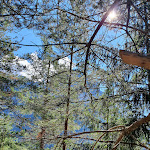 Photo n°10 de l'avis de Andreas.i fait le 16/09/2022 à 15:21 sur le  Hofer Alpl à Umes