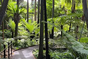 Fern Gully image