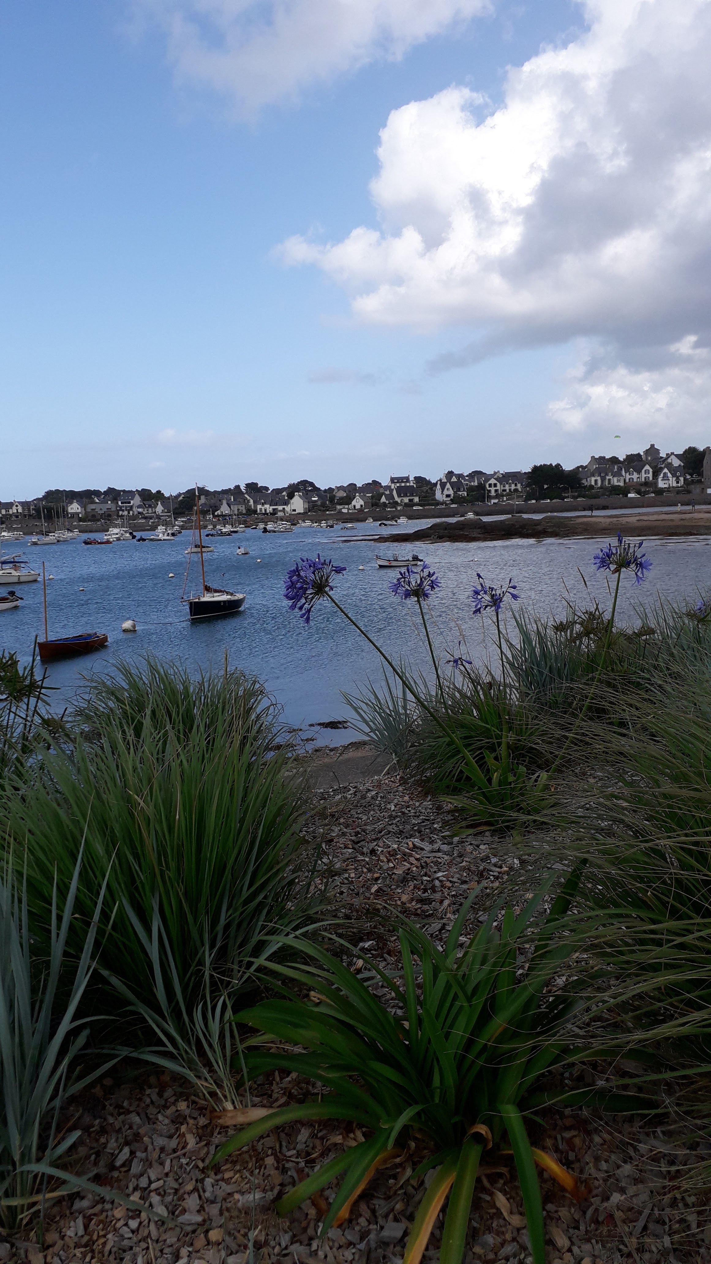 Photo n° 1 de l'avis de pascale.o fait le 02/09/2019 à 07:32