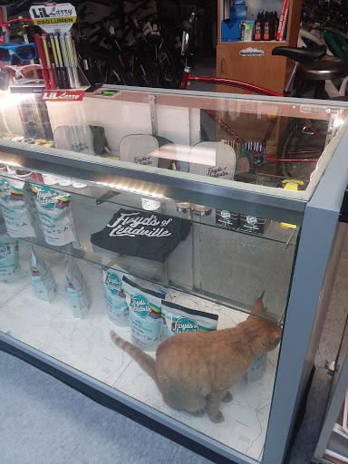 Bicycle Store «Bicycle Experience», reviews and photos, 1601 S Tejon St, Colorado Springs, CO 80905, USA