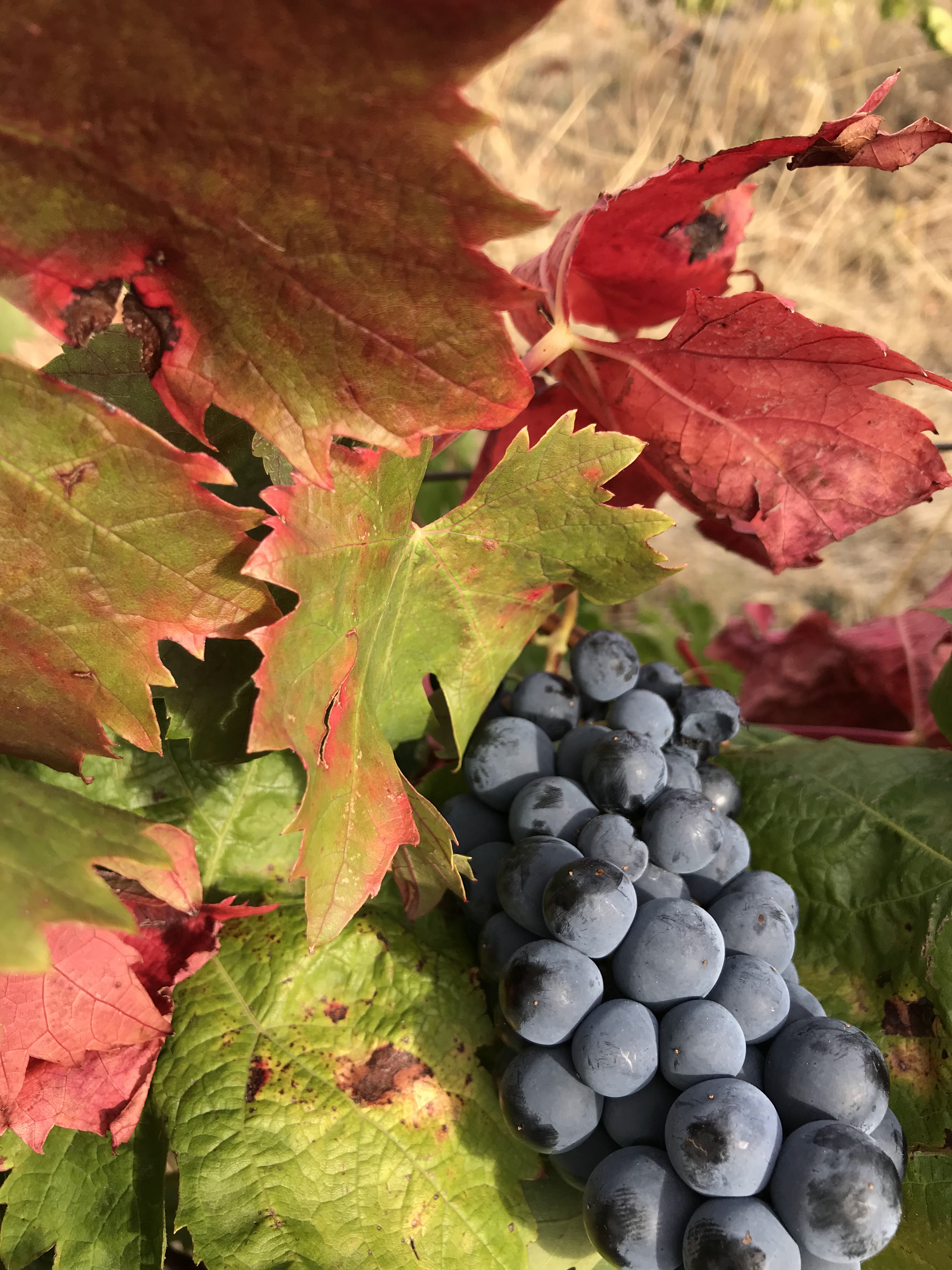 Photo n° 8 de l'avis de Foard.o fait le 23/09/2018 à 17:06