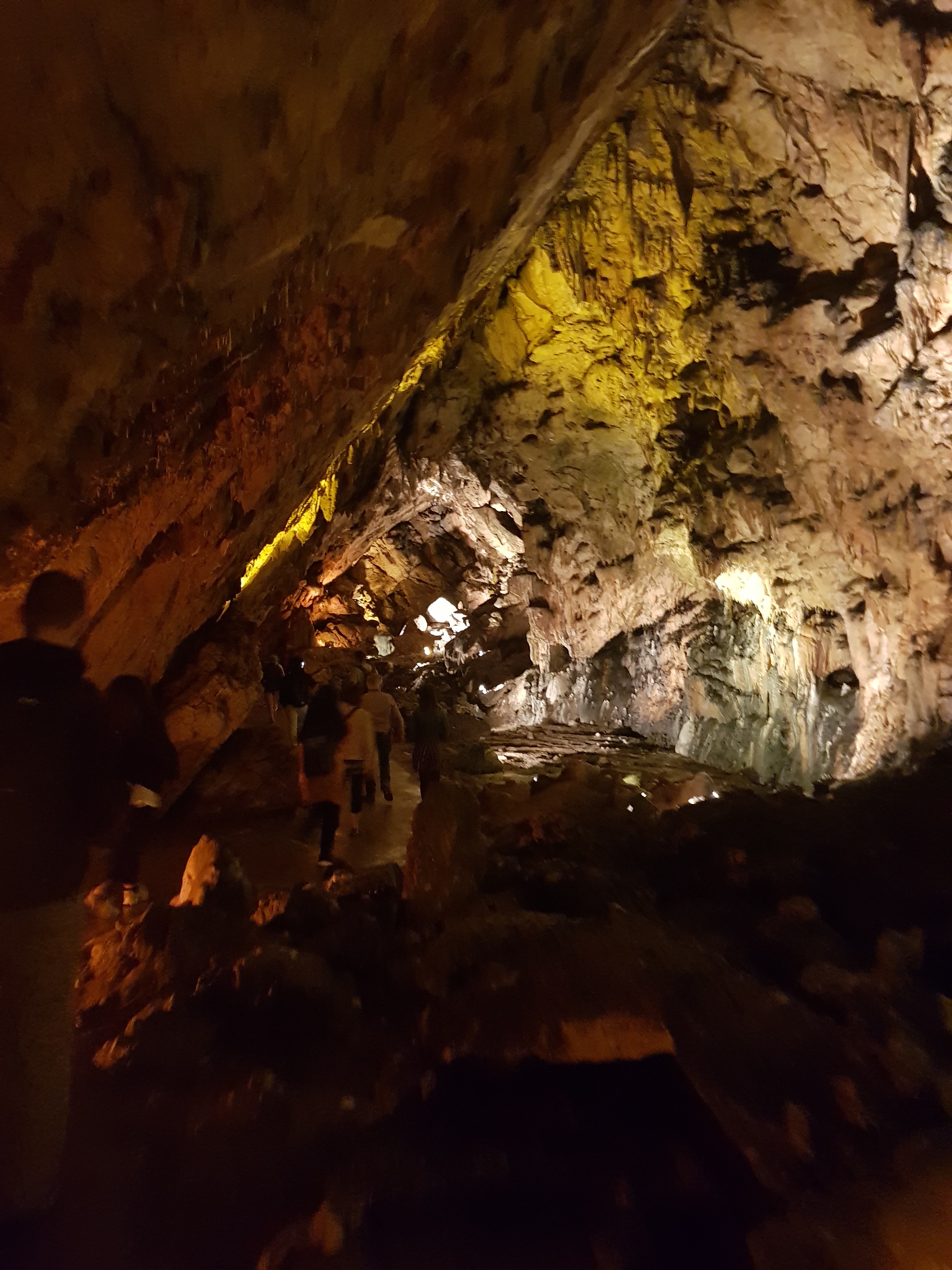 Photo n° 42 de l'avis de Jan.o fait le 05/06/2019 à 17:42