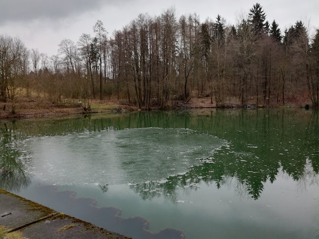 Přírodní lokalita Pivovarské rybníky