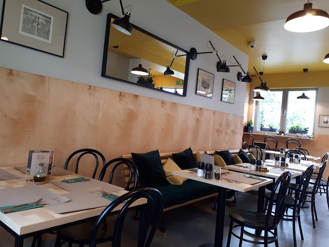 Opinii despre WywabMnie Ruczaj. Czyszczenie dywanów, wykładzin oraz tapicerek meblowych în Podgórze - Usługa sprzątania