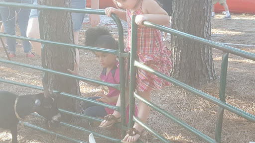 Park «Kingwood Town Center Park», reviews and photos, 8 N Main St, Kingwood, TX 77339, USA