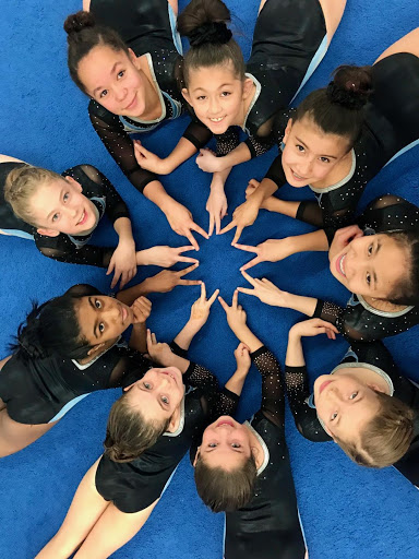 Gymnastics Center «Gym America - Gymnastics & Dance Center», reviews and photos, 2782 Towerview Rd, Herndon, VA 20171, USA