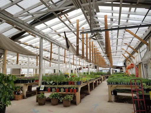 Wholesale plant nursery Winnipeg