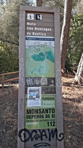 Estacionamento Monsanto - Mata São Domingos de Benfica - Lisboa