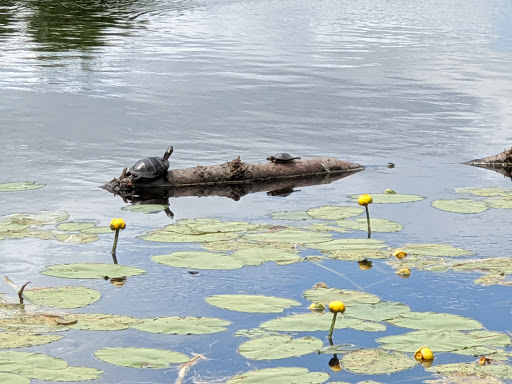 State Park «Great Brook Farm State Park», reviews and photos, 165 N Rd, Carlisle, MA 01741, USA