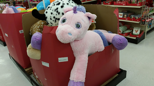 Discount Store «Big Lots», reviews and photos, 169 Danbury Rd, New Milford, CT 06776, USA