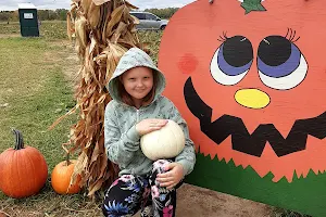 Hilltop Farms Pumpkin Patch image