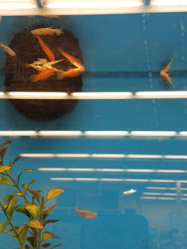 Pet Supply Store «Petco Animal Supplies», reviews and photos, 3637 2700 W, West Valley City, UT 84119, USA