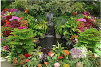 Tropilawn Landscaping LLC - Photo 4 - Car repair in Burke, VA, Alexandria