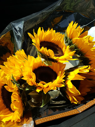 Pet Supply Store «Agway North Branford», reviews and photos, 11 Whitewood Ln, North Branford, CT 06471, USA