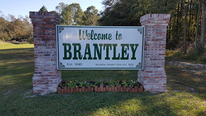 Town of Brantley, AL