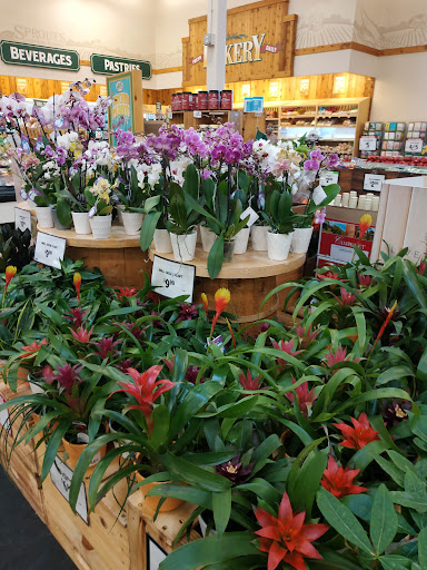 Health Food Store «Sprouts Farmers Market», reviews and photos, 5130 Peachtree Pkwy #100, Peachtree Corners, GA 30092, USA