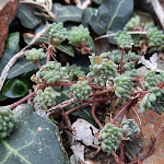 Photo n°2 de l'avis de Teresa.e fait le 13/02/2022 à 08:20 sur le  Cerdeira - Home for Creativity à Lousã