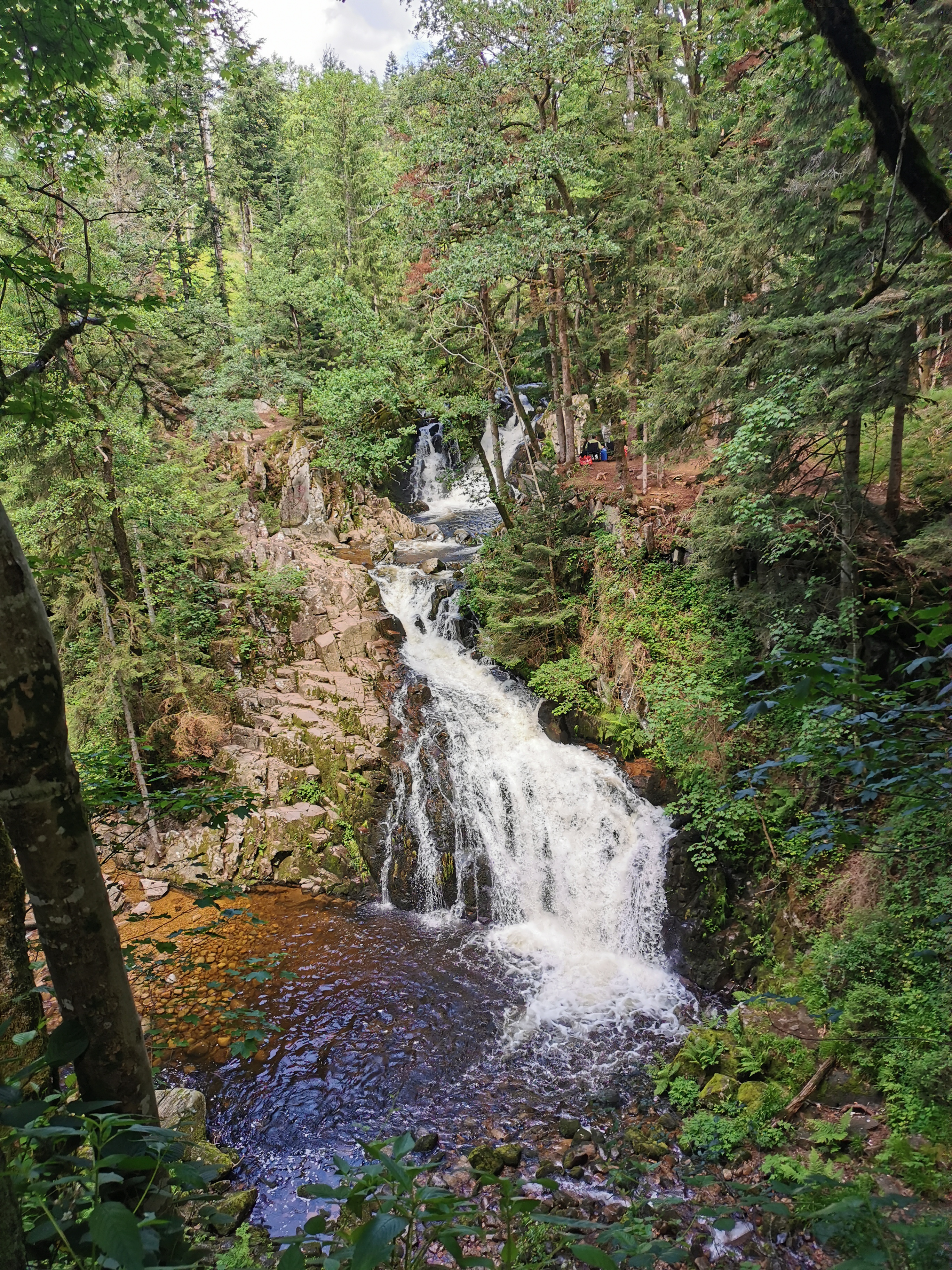 Photo n° 1 de l'avis de Emelyne.i fait le 19/07/2021 à 16:22