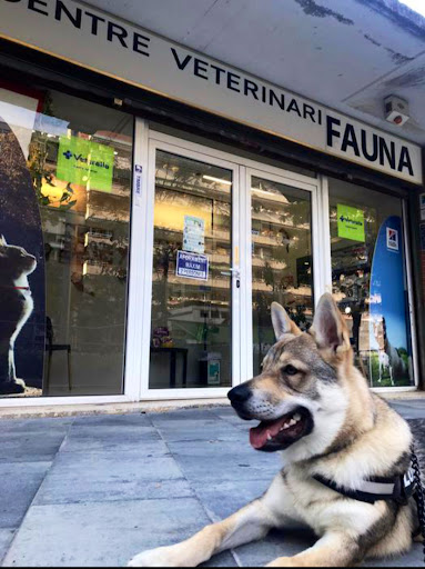 Centro Veterinario Fauna. en Barcelona