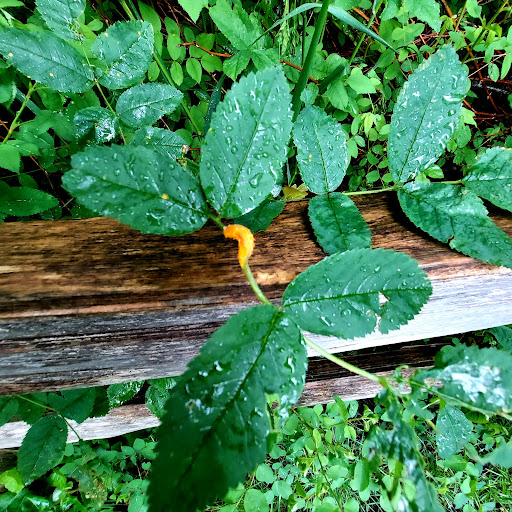 Conference Center «Des Moines Beach Park Auditorium», reviews and photos, 22030 Cliff Ave S, Des Moines, WA 98198, USA