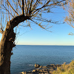 Photo n°2 de l'avis de Chan.a fait le 07/04/2024 à 14:22 sur le  Da sasà ristorante pizzeria à Cefalù