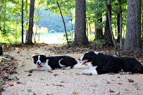 Lilymont Wedding Venue - Photo 5 - Car repair in Efland, NC, Burlington