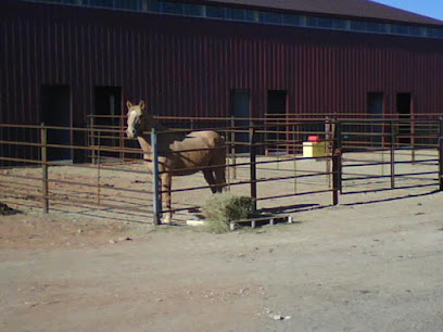 Rodeo Ranch Road Stables