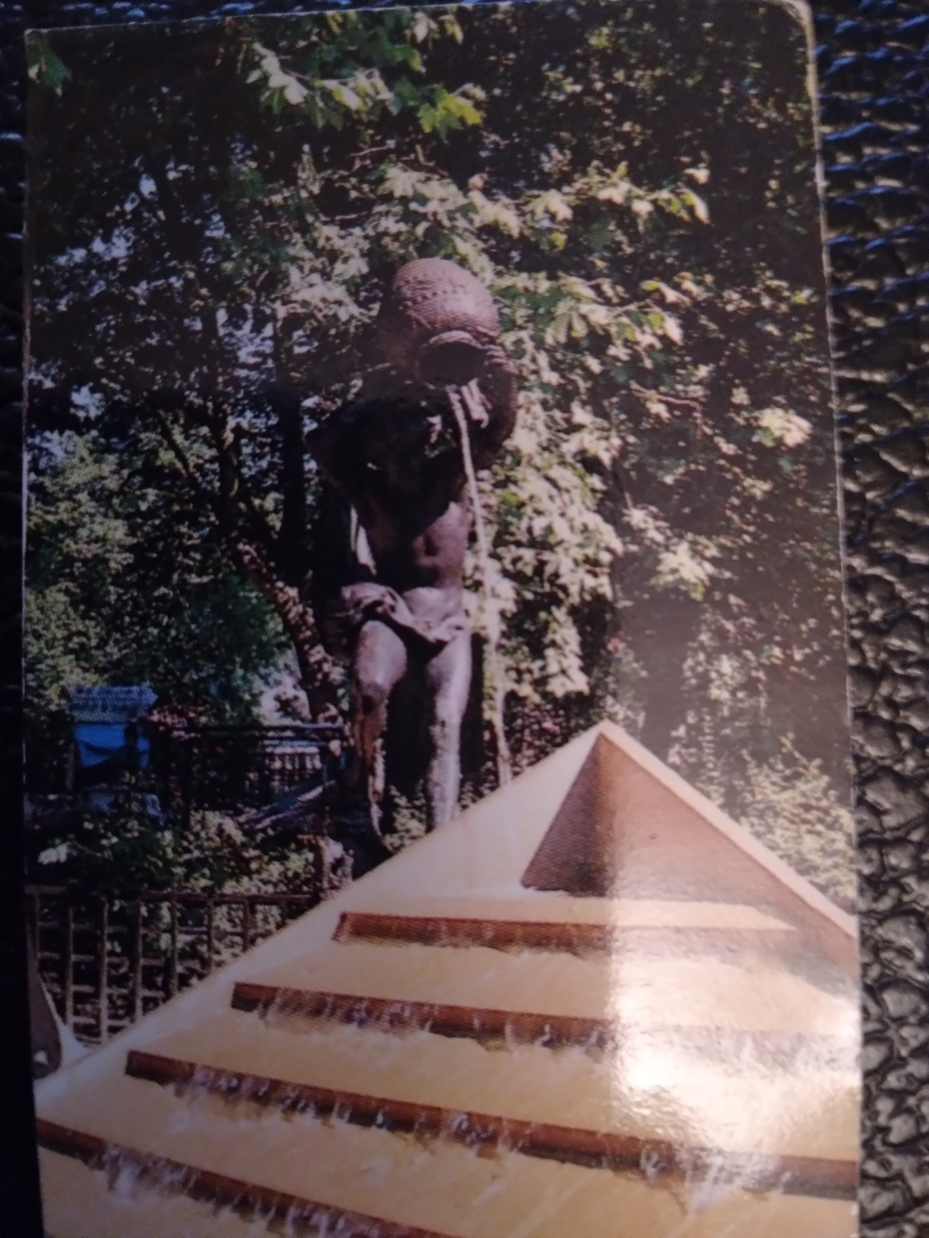 Photo n° 1 de l'avis de Toufik.o fait le 22/06/2022 à 17:51