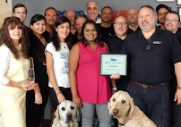 Protection Plus - Photo 2 - Car repair in Toronto, ON, Canada, Buffalo