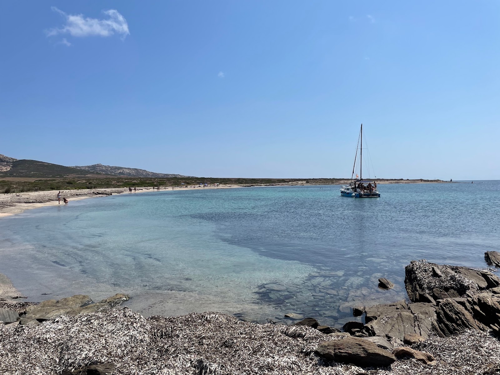Photo of Spiaggia dello Spalmatore all'Asinara with very clean level of cleanliness