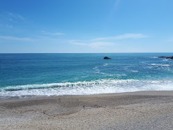 Foto af Monro Beach beliggende i naturområde