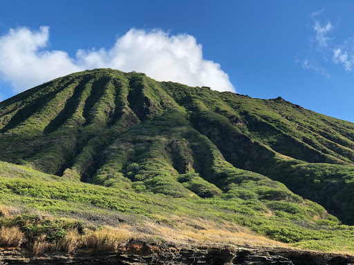 Lanai Lookout