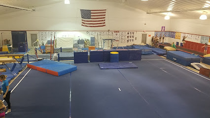 Medina Gymnastics Academy Inc - 3580 Octagon Dr, Medina, OH 44256