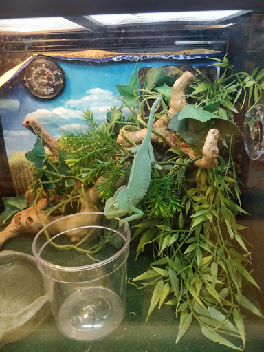 Pet Supply Store «PetSmart», reviews and photos, 101 Pavilion Pkwy, Fayetteville, GA 30214, USA