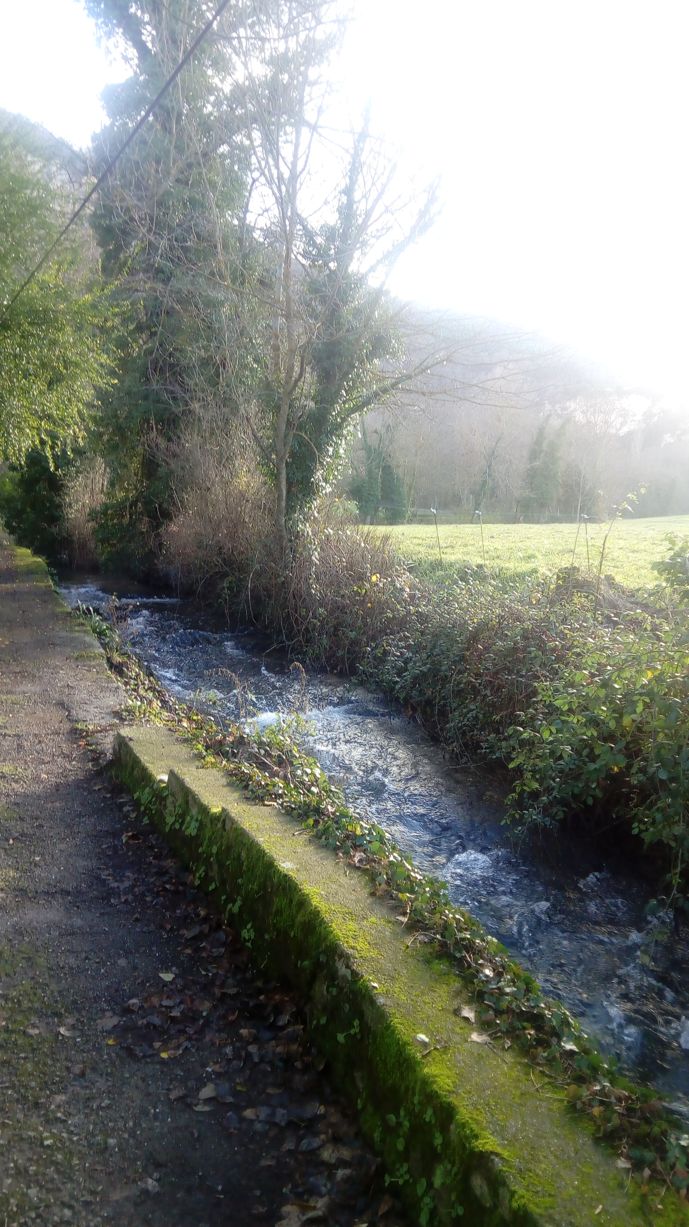 Photo n° 3 de l'avis de Christian.o fait le 24/12/2018 à 14:53