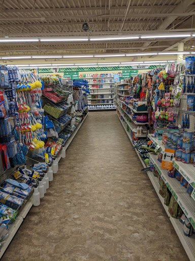 Dollar Store «Dollar Tree», reviews and photos, 6539 Annapolis Rd, Landover Hills, MD 20784, USA