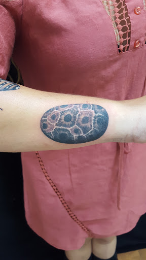 Tattoo Shop «Truth Seeker Tattoo», reviews and photos, 525 W Front St E, Traverse City, MI 49684, USA