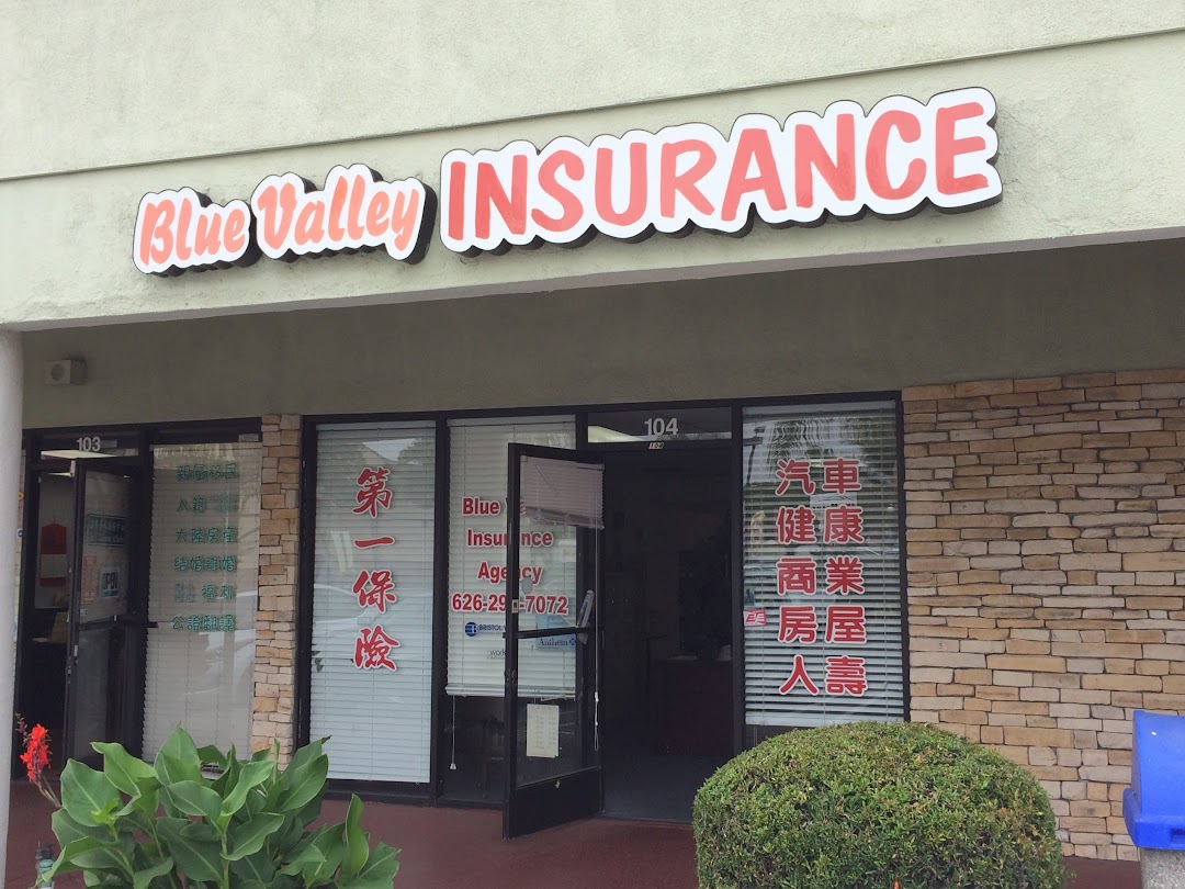 Blue Valley Insurance