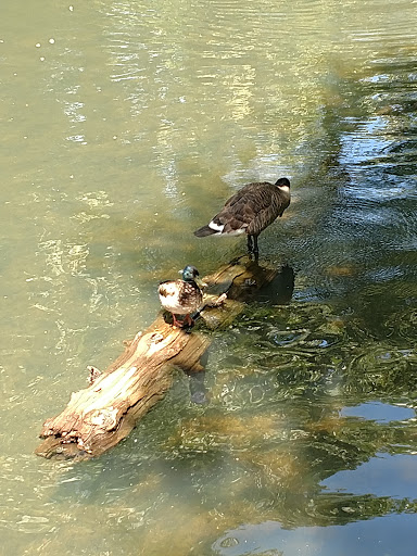 Park «Bronx River Park», reviews and photos, 2 Bronx River Pkwy, Scarsdale, NY 10583, USA