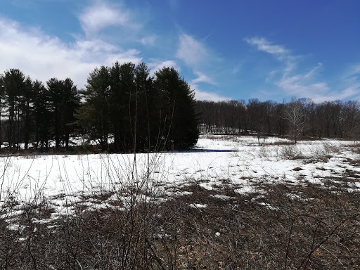 Nature Preserve «Schiff Natural Lands Trust/Schiff Nature Preserve», reviews and photos, 339 Pleasant Valley Rd, Mendham, NJ 07945, USA
