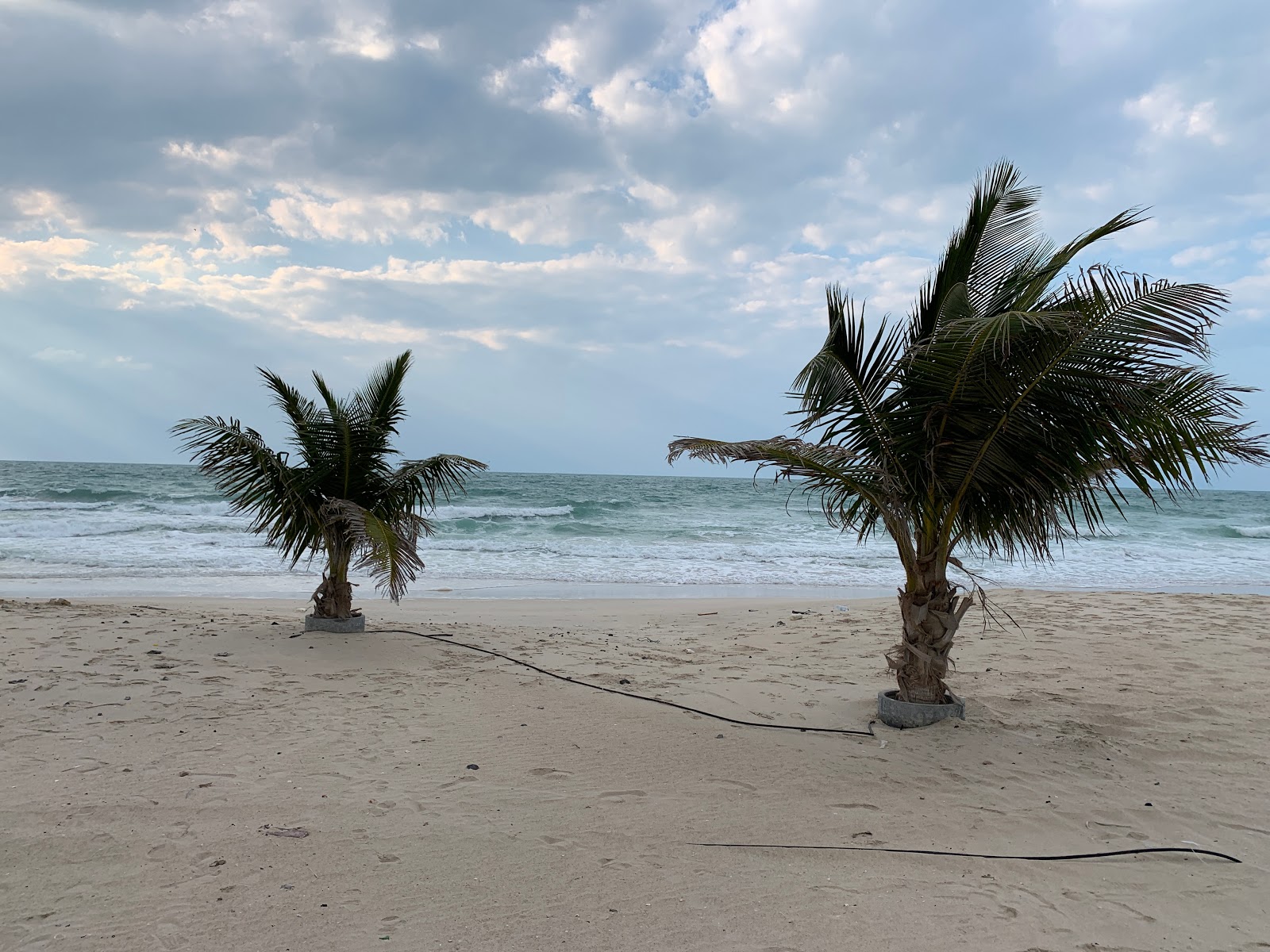 Umm Al Quwain'in fotoğrafı vahşi alan