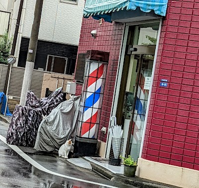 ダルトン 赤塚店