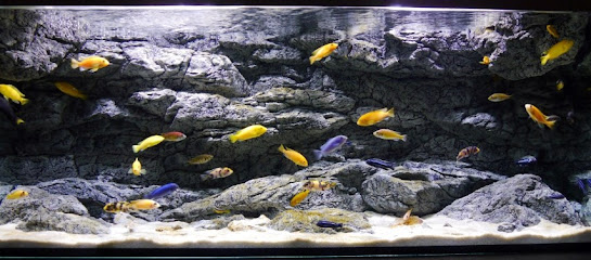 Fessler Schreinerei & Aquaristik