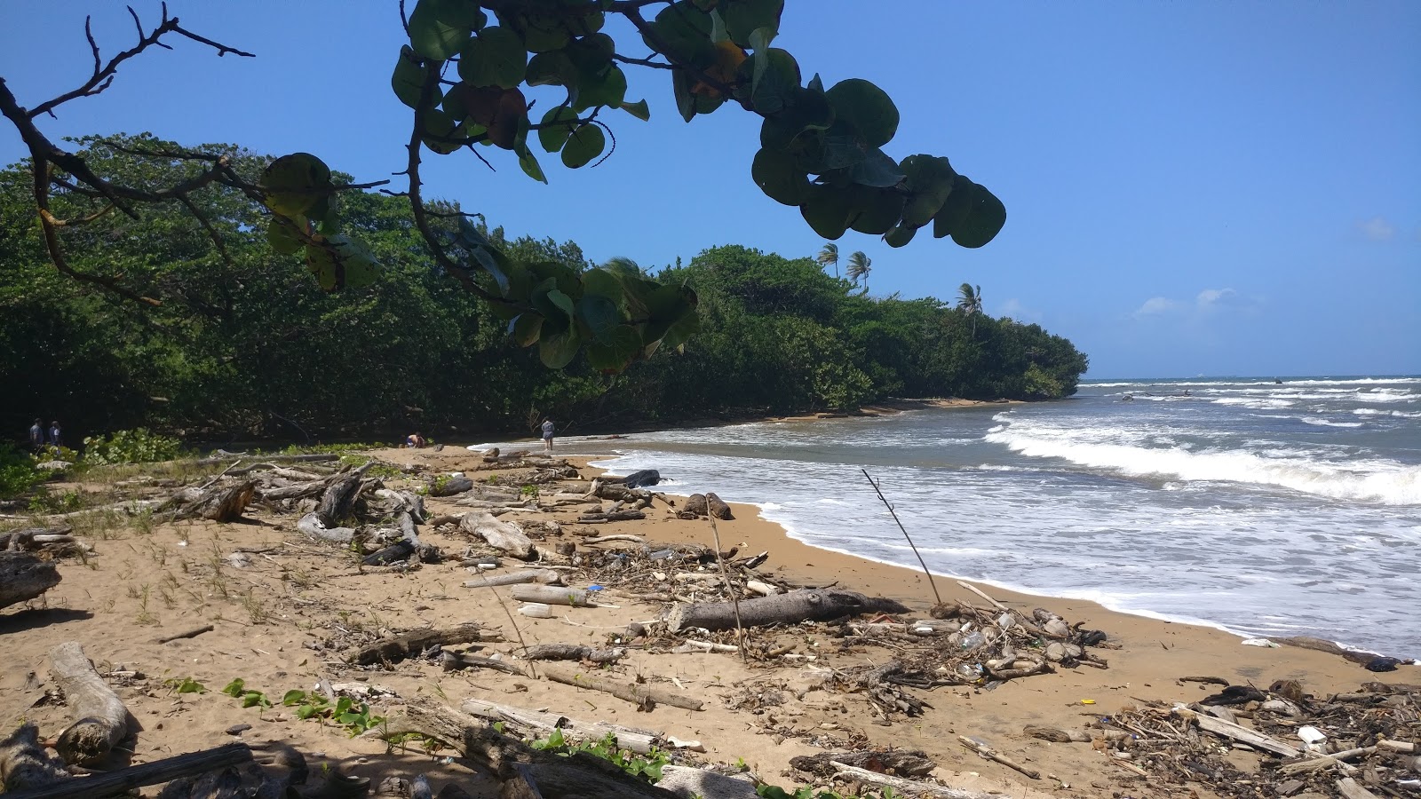 Photo de Diablillo Beach zone sauvage