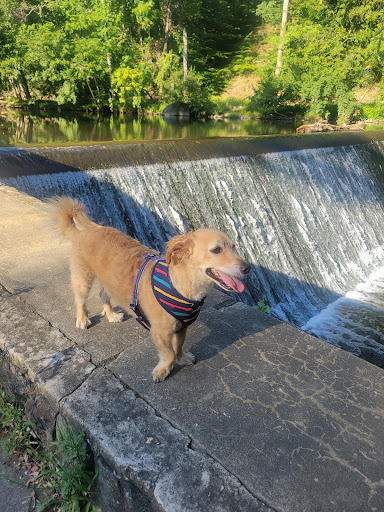 Park «Leakin Park», reviews and photos, 4921 Windsor Mill Rd, Gwynn Oak, MD 21207, USA