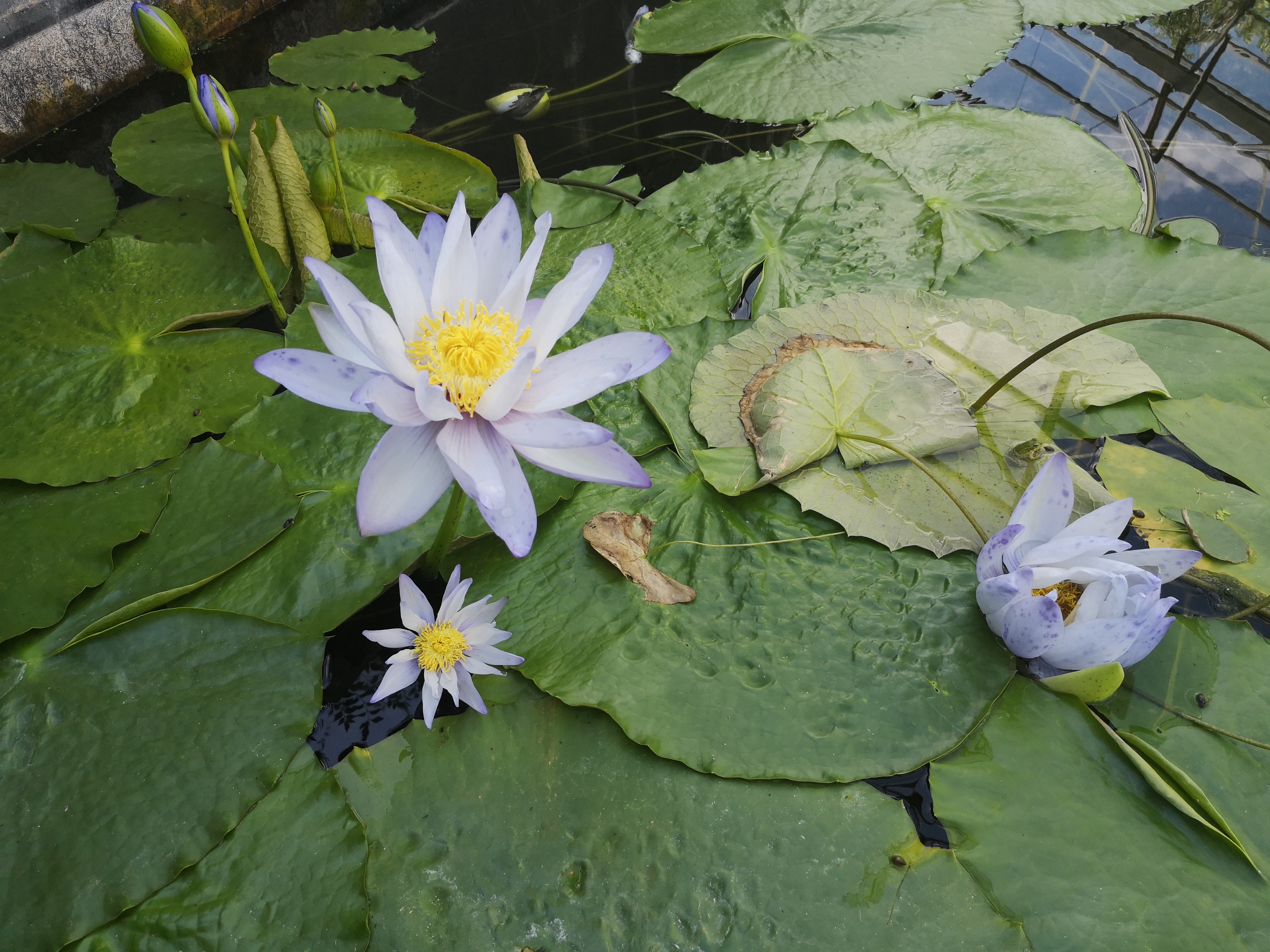 Photo n° 13 de l'avis de Mallory.e fait le 24/08/2020 à 06:08